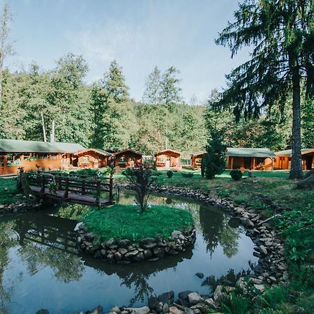 Vidra Park Hotel Sicasau Exterior photo