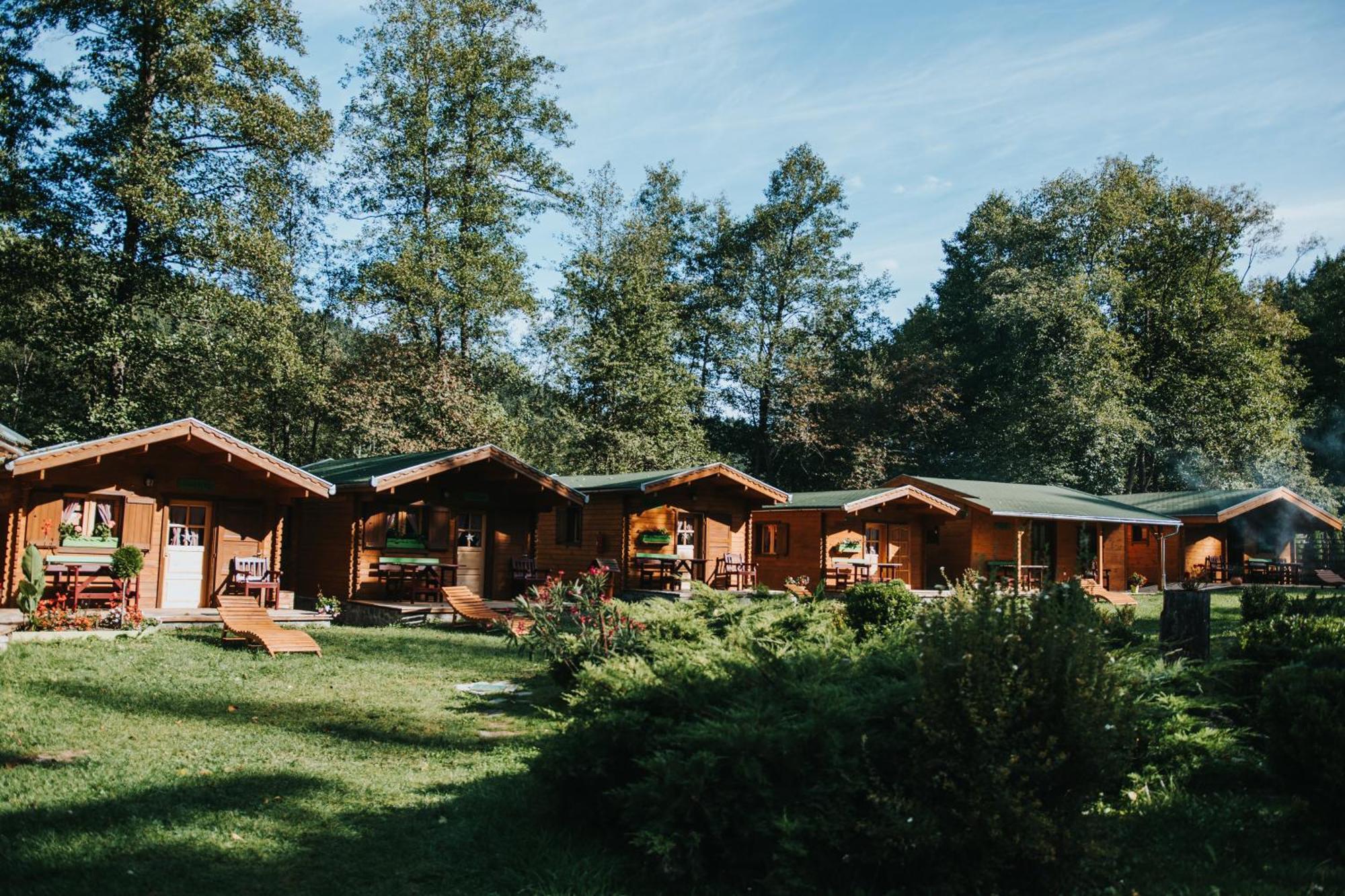 Vidra Park Hotel Sicasau Exterior photo