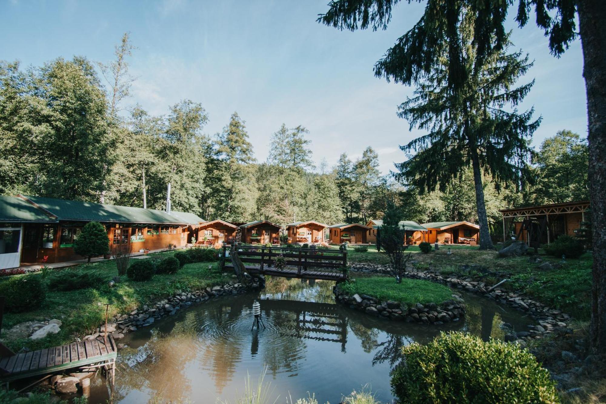 Vidra Park Hotel Sicasau Exterior photo