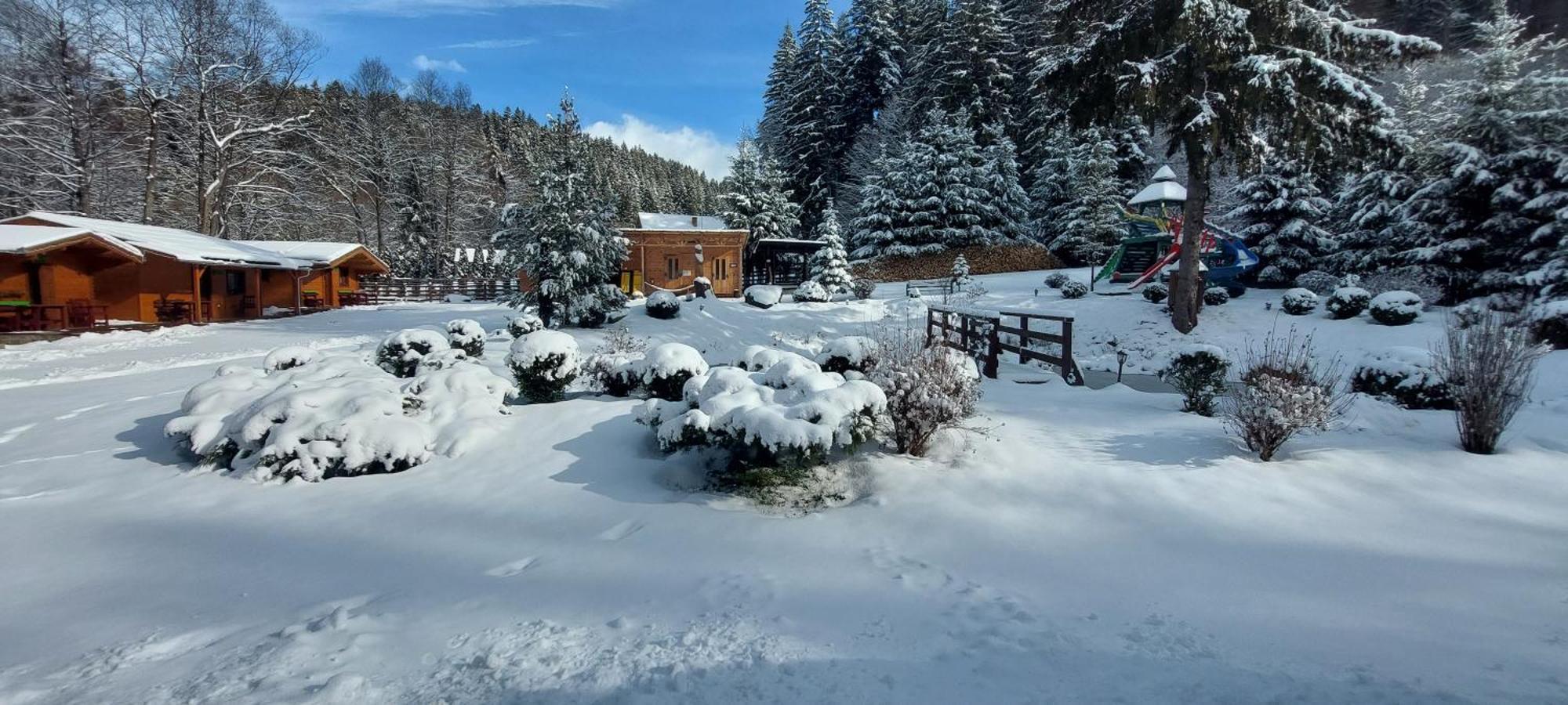Vidra Park Hotel Sicasau Exterior photo